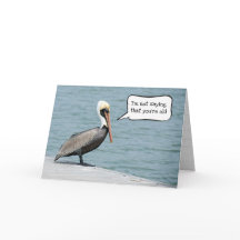 Verjaardag Pelikaan Wordt Ouder 