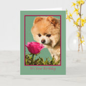 Verjaardag, Pommerse Hond en Roos Kaart (Gele Bloem)
