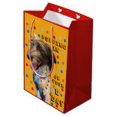 Verjaardag Pop in Puppy Gift Bag Medium Cadeauzakje (Achterkant Gekanteld)