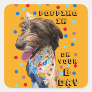 Verjaardag Pop in Puppy Sticker