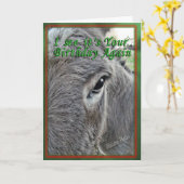 Verjaardag Porscha Kaart (Gele Bloem)