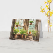 Verjaardag potten Planten in zonnig raam Kaart (Gele Bloem)