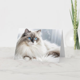 Verjaardag Ragdoll Cat op een bontkleed Kaart