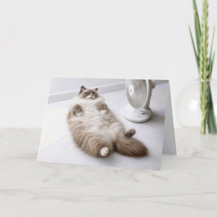 Verjaardag Ragdoll kat die afkoelt met een ventila Kaart