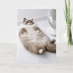 Verjaardag Ragdoll kat die afkoelt met een ventila Kaart