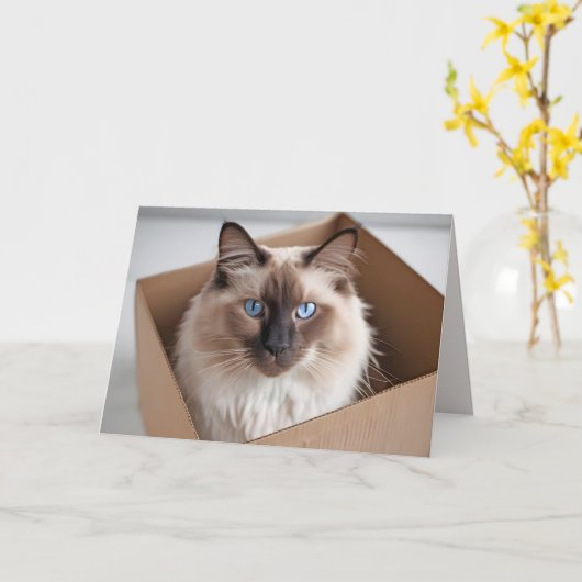 Verjaardag Ragdoll kat in kartonnen doos Kaart (Gele Bloem)