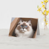 Verjaardag Ragdoll Kat in Kartonnen Doos Kaart (Gele Bloem)