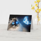 Verjaardag Ragdoll Kat Met Blauwe Neon Vlinder Kaart (Gele Bloem)
