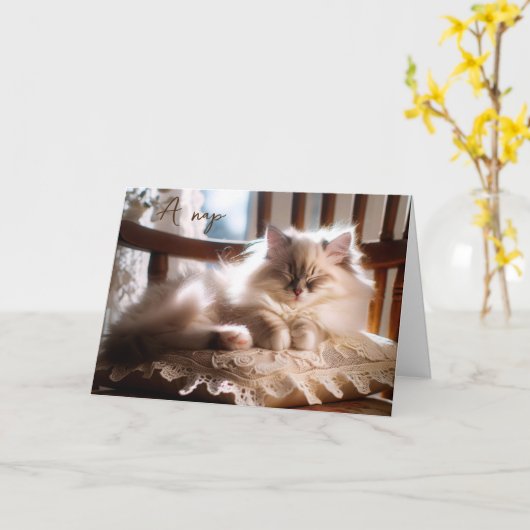 Verjaardag Ragdoll Kitten op kussen Kaart (Gele Bloem)