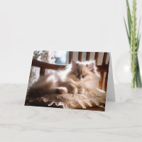 Verjaardag Ragdoll Kitten op kussen