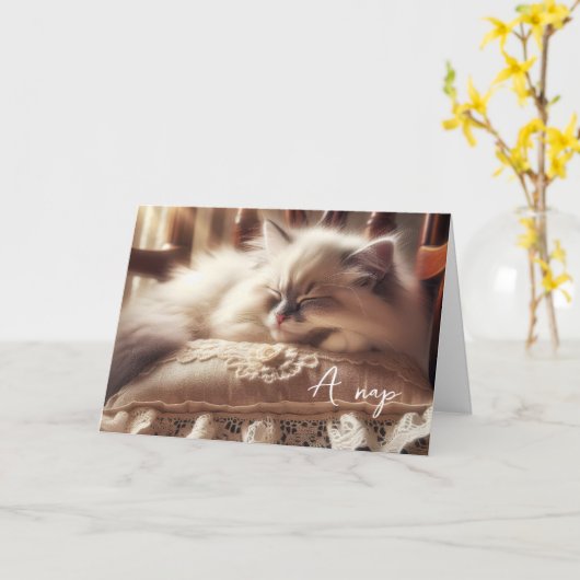 Verjaardag Ragdoll Kitten op kussen Kaart (Gele Bloem)