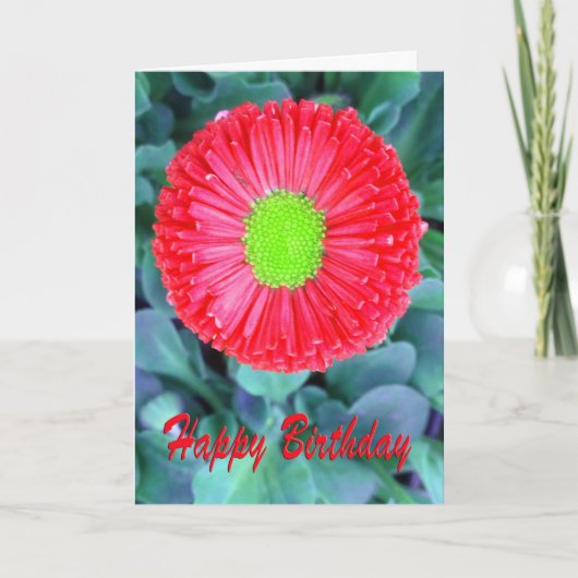 Verjaardag Rood & Groen Bloem Kaart (Voorkant)