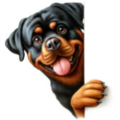 Verjaardag Rottweiler cadeau Golfballen