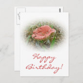 Verjaardag Roze Paddenstoel Briefkaart (Voorkant / Achterkant)