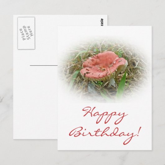 Verjaardag Roze Paddenstoel Briefkaart (Voorkant / Achterkant)