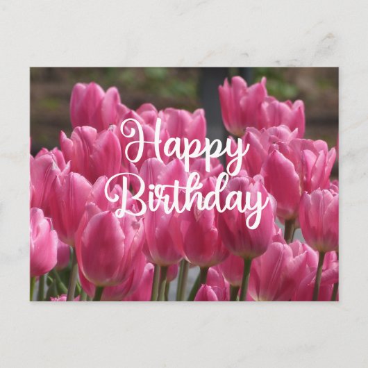 Verjaardag Roze Tulp Bloemen Briefkaart (Voorkant)