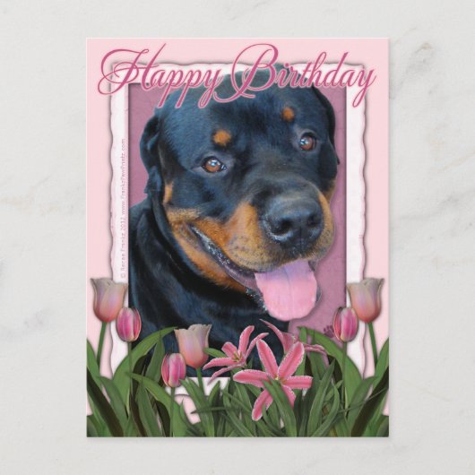 Verjaardag - Roze Tulpen - Rottweiler - Harley Briefkaart (Voorkant)