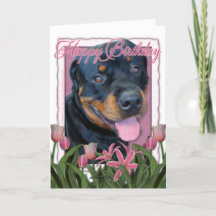 Verjaardag - Roze Tulpen - Rottweiler - Harley Kaart