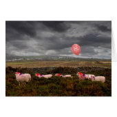 Verjaardag schapen (Voorkant Horizontaal)