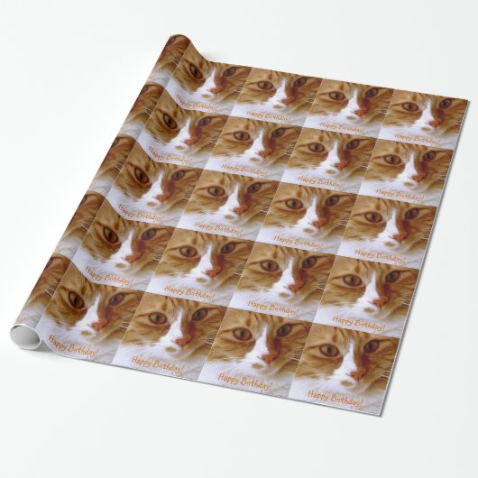 Verjaardag Schattig Auto Gezicht Inpakpapier (Uitgerold)