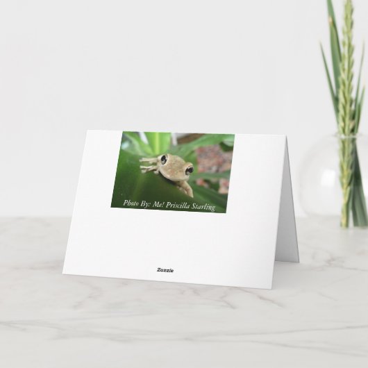 Verjaardag, schattige lachende kikker. kaart (Achterkant)