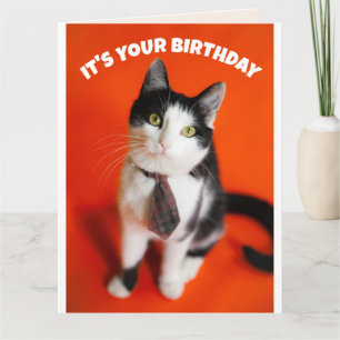 VERJAARDAG SCHATTIGE STROPDAS KAT VRIEND WENSKAART KAART