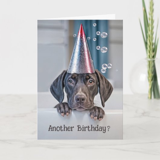 Verjaardag Schattigee Korthaar Pointer Puppy met f Kaart (Voorkant)