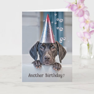 Verjaardag Schattigee Korthaar Pointer Puppy met f Kaart