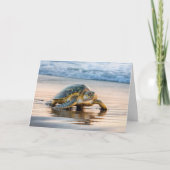 Verjaardag schildpad wandelen op een strand kaart (Voorkant)