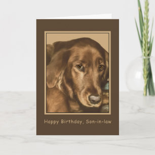 Verjaardag, schoonzoon, Golden Irish Dog Kaart