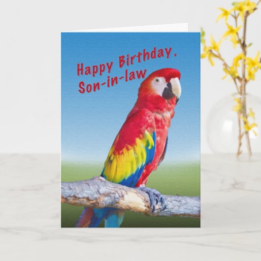 Verjaardag, schoonzoon, Macaw Parrot Kaart (Gele Bloem)