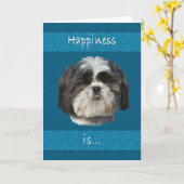 Verjaardag, Shih Tzu Dog Kaart (Gele Bloem)