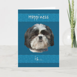 Verjaardag, Shih Tzu Dog Kaart