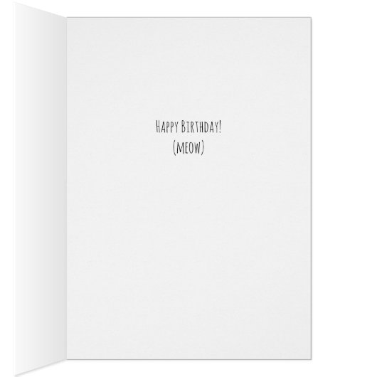 Verjaardag Spa Behandelingen met Katten (Binnen (Rechts))