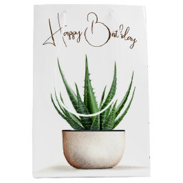 Verjaardag Succulent Plant in Pot Medium Cadeauzakje