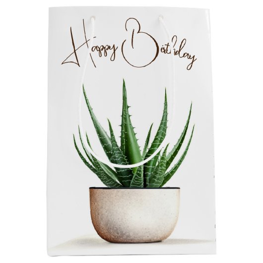 Verjaardag Succulent Plant in Pot Medium Cadeauzakje (Voorkant)