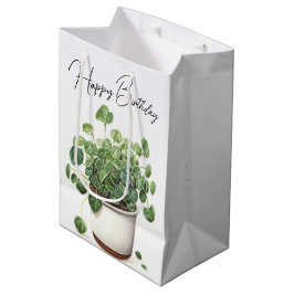Verjaardag Succulent Plant in Pot Medium Cadeauzakje