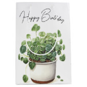 Verjaardag Succulent Plant in Pot Medium Cadeauzakje (Voorkant)