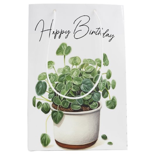 Verjaardag Succulent Plant in Pot Medium Cadeauzakje (Voorkant)