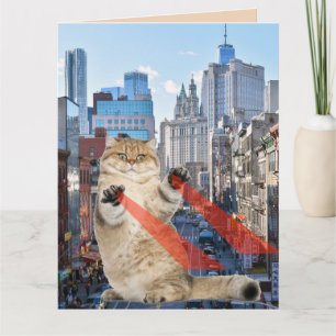 VERJAARDAG SUPERKRACHT KAT OVER NEW YORK CITY KAAR KAART