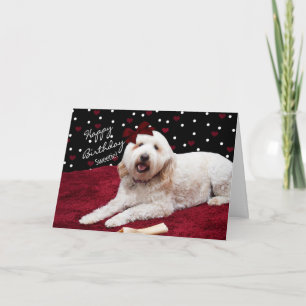 VERJAARDAG - SWEETIE - GOLDEN DOODLE KAART