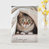 Verjaardag Tabby Cat Getting Old Humor Kaart (Gele Bloem)