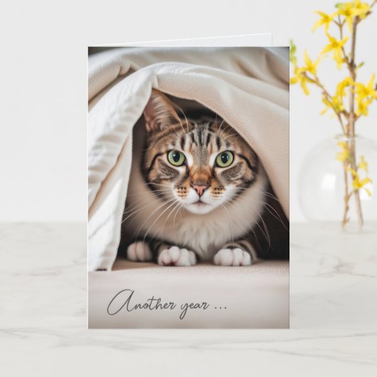 Verjaardag Tabby Cat Getting Old Humor Kaart (Gele Bloem)