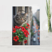 Verjaardag Tabby Cat in het venster van het appart Kaart (Voorkant)