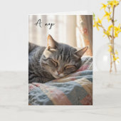 Verjaardag Tabby Cat Nap Kaart (Gele Bloem)