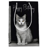 Verjaardag Tabby Kat In Doorway Medium Cadeauzakje (Voorkant)