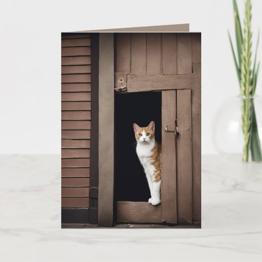 Verjaardag Tabby Kat in Shed Doorway Kaart (Voorkant)