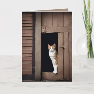 Verjaardag Tabby Kat in Shed Doorway Kaart