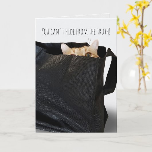 Verjaardag Tabby kat in zwarte tas Kaart (Gele Bloem)