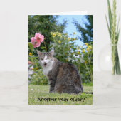 Verjaardag Tabby Kat Kaart (Voorkant)